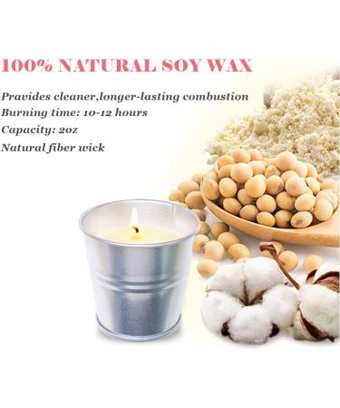 TopSics Citronella Candles - 8 Natural Soy Wax Candles for Outdoor Use - Long Lasting 80-96 Hours - Perfect for Garden Terrace Picnic and Camping - Buy Online on GoSupps.com