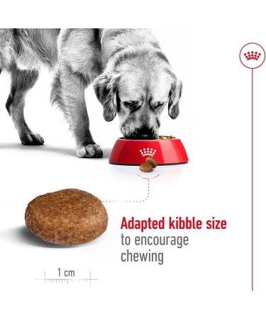 Royal Canin Dog Food Maxi Adults 5+ 4kg - Buy Online on GoSupps.com