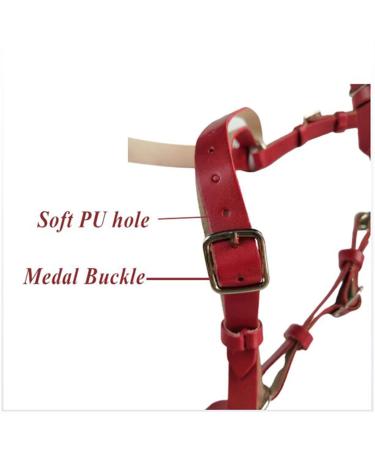 English Horse Bridle - Adjustable Leather Noseband for Horses | Premium Horse Accessories & Racing Equipment (Black) - Buy Online on GoSupps.com