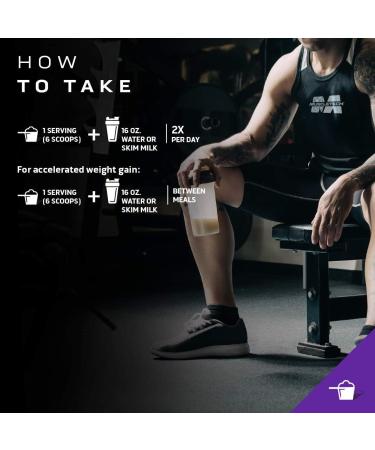 MuscleTech 100% Mass Gainer Protein Powder | Whey + Creatine | Vanilla Milkshake | 5.15 lb - Buy Online on GoSupps.com