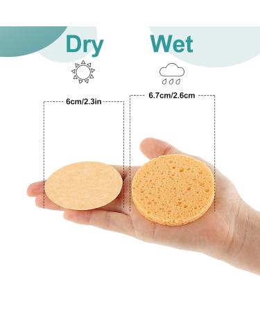 50 Natural Compressed Facial Sponges - Reusable Makeup Removal & Daily Skin Care - Buy Online on GoSupps.com