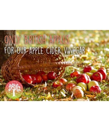  Ancient Purity Apple cider vinegar - 500 ml with unpasteurized mother - Buy Online on GoSupps.com