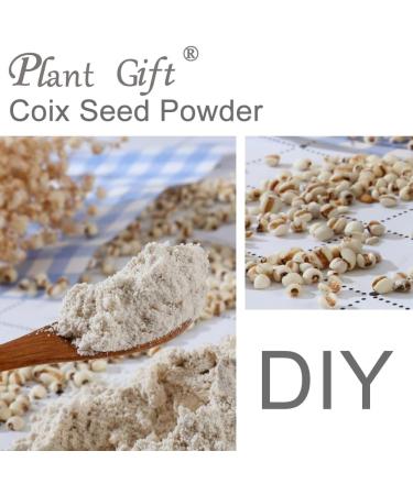100% Natural Pure Coix Seed Powder 100g/3.52oz farine de noyau d' meraude de Coix chicor e farine de noyau d' meraude cuisson recettes et boissons | sans conservateurs - Buy Online on GoSupps.com