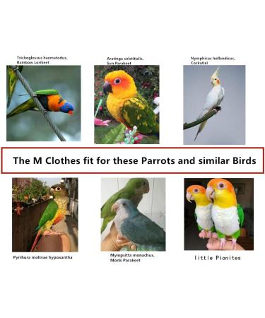 Kuso Reusable Washable Diapers for Parrots | Aviation Suit & Kimono Clothing for Birds | Best for Budgies Nymphensittich Kakadu & African Grey - Buy Online on GoSupps.com