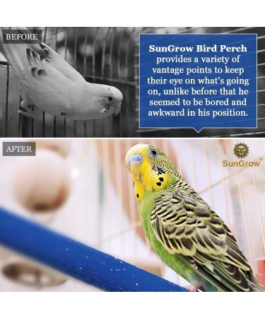 SunGrow Wooden Bird Perch 11.8 Inches Blue - Keeps Nails Trim, Beaks Smooth - Ideal for Cockatiels, Parakeets, Lovebirds, Finches - Buy Online on GoSupps.com