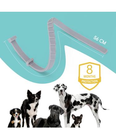 Nobleza Dog Tick Collar - 2 PCs Waterproof Adjustable Up to 8 Months Flea & Tick Protection 100% Natural Ingredients - Best for International Shipping - Buy Online on GoSupps.com