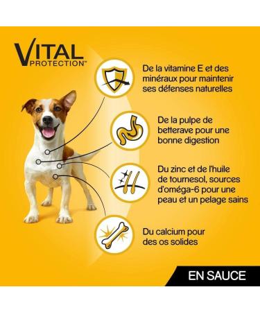 Pedigree Vital Protection - Freshness sachets for adult dogs with 4 flavors in sauce 12 meal sachets of 100g - Buy Online on GoSupps.com