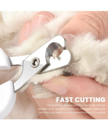 Otaive Claw Scissors for Cats & Dogs | Safety Stainless Steel Nail Clippers | Ideal for Puppies & Small Pets | Beginner-Friendly Pet Grooming Tools - Buy Online on GoSupps.com