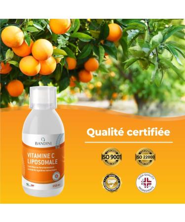 Bandini Vitamine C Liposomale 1000 mg - Compl ment Liquide 250 ml - Dosage Puissant et Absorption Maximale - Syst me Immunitaire & Fatigue - 100% Vit C Acide Ascorbique Biodisponible - Vegan Non-GMO - Buy Online on GoSupps.com