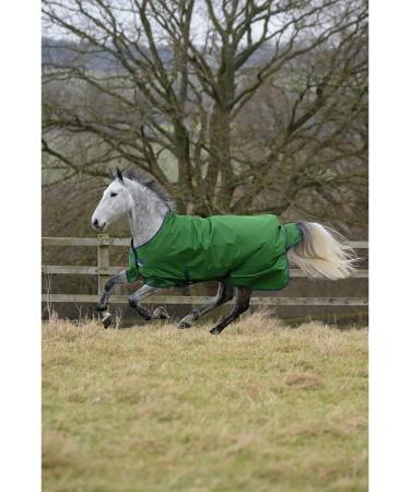 Bucas Freedom to 150g Emerald 165 - Buy Online on GoSupps.com