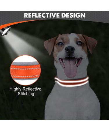 Joytale Softly Padded Neoprene Dog Collar for Small Dogs - Reflective Nylon Orange S (1 Pack) | Best International Shipping - Buy Online on GoSupps.com
