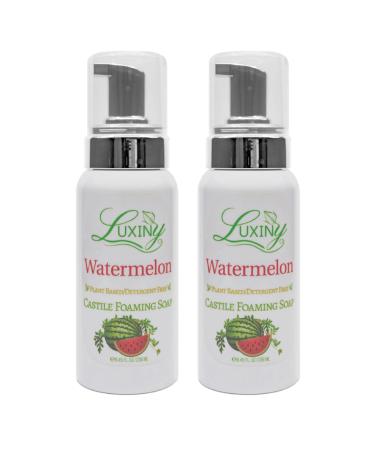 Castile soap Liquid Foaming Hand Soap Hand Wash for the Kitchen & Bathroom Palm Oil Free Vegan & Cruelty Free Made in the USA 8.45 oz. 2 Pack (Watermelon)