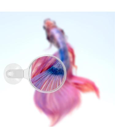 POPETPOP Aquarium Magnifier Acrylic Fish Tank Viewer Fish Tank Magnifying Glass Small Animal Magnifier with Suction 3.5cm - Buy Online on GoSupps.com