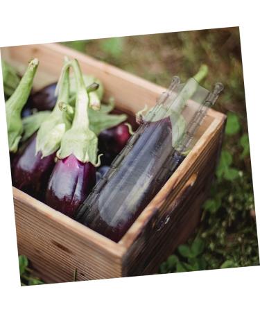 Toddmomy Cucumber Shaping Molds 2pcs Vegetable Shaping Mold Cucumber Planting Supplies Garden Cucumber Mold - Buy Online on GoSupps.com