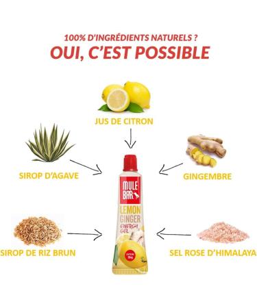 Mulebar - Sport Energy Gel - Lemon - Ginger - Guarana - 37g - Vegan - Gluten Free - 50mg Caffeine - Resealable and Reusable Tube - Buy Online on GoSupps.com