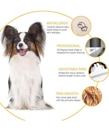 Abuycs Dog Grooming Clippers for Pets Cat Hair Trimmer Kit Dog Clippers Pet Shaver Low Noise Professional Hair Clipper Set with 4 Comb + Pro Accessories Quiet Rechargeable Shaving Tool - Buy Online on GoSupps.com