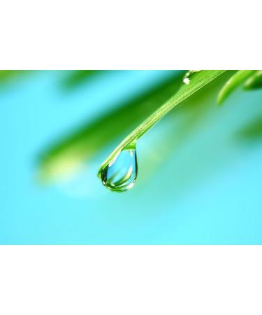 Liquid Vitamin D3 Forte 30ml Bottle - Buy Online on GoSupps.com