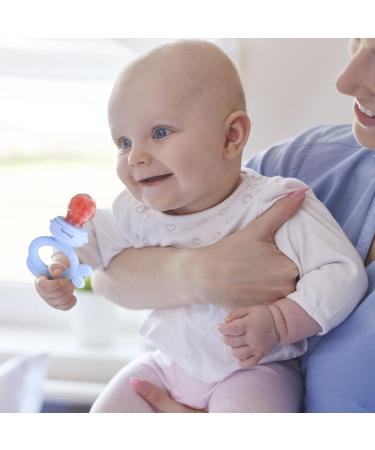 Dilovely Baby Fruit Feeder: Silicone Teething Pacifier with 3 Sizes Pouches - BPA Free Mesh Feeder for Infants (2 Pack) - Buy Online on GoSupps.com