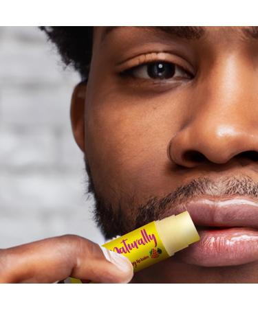 Carmex Naturally Stick Berry Natural lip care for a supple result 1 piece of 4.25 g - Buy Online on GoSupps.com
