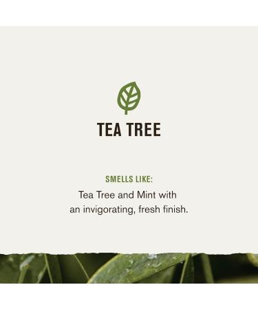 Every Man Jack Tea Tree Men's Thickening 2-in-1 Shampoo & Conditioner | Restore Thickness Cleanse & Condition | Naturally Derived Paraben & Dye Free - Shop Internationally - Buy Online on GoSupps.com
