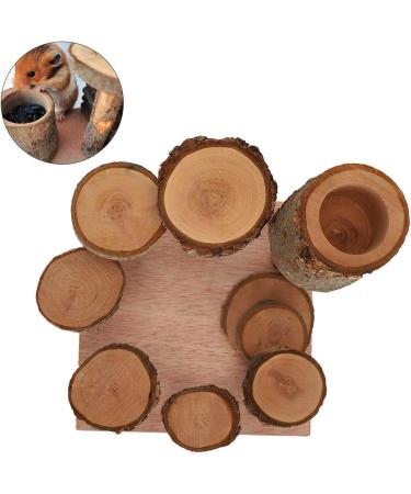 Nikou Hamster Toys Platforms Ladder Exercise Stairs Small Pet Climbing Ladder Step Eco-Friendly Fitness Exercise Feeder Chew Toy Not Easy To Fall For Hamster(S) - Buy Online on GoSupps.com