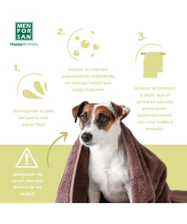 Buy San Chien Caramel Apple Shampoo for Men (5L) - Nourishing & Revitalizing Hair Care | International Shipping Available - Buy Online on GoSupps.com