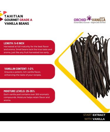 Tahitian Vanilla Beans Gourmet Grade-A For Extract And Baking By Weight (1/2 Lb (Pack of 1)) - Buy Online on GoSupps.com