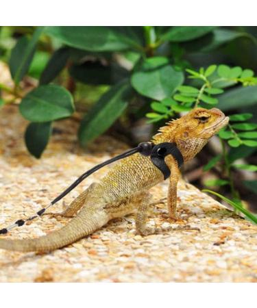 3PCS Adjustable Reptile Leather Harness Set with Cool Wings for Bearded Dragon & Small Pets - Buy Online on GoSupps.com
