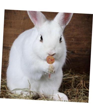 NOLITOY 12pcs Pet Rabbit Snacks Chinchilla Treats Teeth Grinding Sticks Pet Chewing Playthings Animal Petal - Buy Online on GoSupps.com