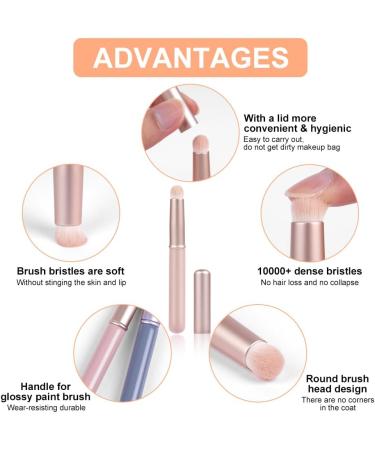AOOWU Lip Brush Set - 3 Pcs Reusable Applicators for Women | Travel-Friendly Makeup Brushes for Lipstick, Eyeshadow & Eyebrows - Buy Online on GoSupps.com