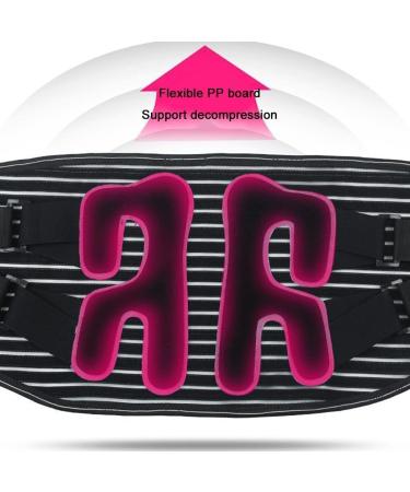 Buy Bedaw Lumbar Spine Support Belt - Best Back Support for Men & Women - Sciatica & Herniated Disc Relief 2023 - Buy Online on GoSupps.com