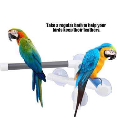 Bird Bathing Perch Stand for Parrot Training | PVC Platform with Suction Cup for Macaw, Cockatoo, African Greys, Budgies, Parakeet, Cockatiel, Conure, Lovebirds - Buy Online on GoSupps.com