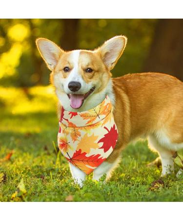 3Pcs Halloween Dog Bandanas Thanksgiving Pet Triangle Bibs Fall Pumpkin Maple Leaf Printed Dog Kerchief Adjustable Washable Scarfs Accessories for Small Medium Large Girl Boy Dogs Puppies Cats Pets - Buy Online on GoSupps.com