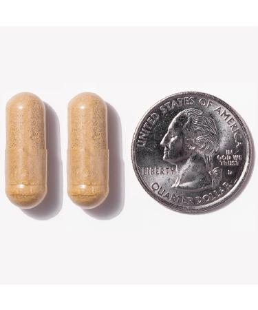 ProCare Health | Bariatric Multivitamin + Probiotics | 45mg Iron | 180 Count | 3 Month Supply - Buy Online on GoSupps.com