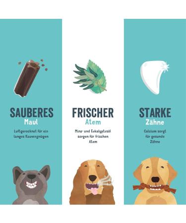 Edgard & Cooper 56 Dental Sticks for Large Dogs | Natural Eucalyptus & Apple Snacks | Low-Calorie Dental Care for Fresh Breath - Buy Online on GoSupps.com