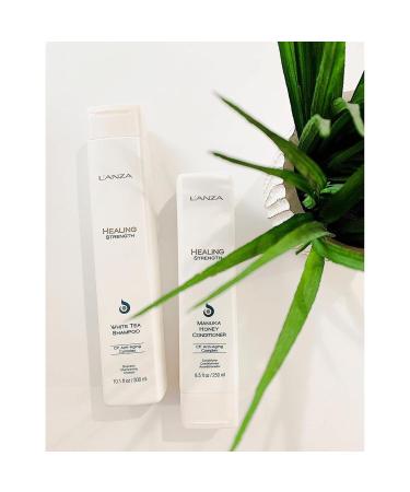 L ANZA Healing Strength White Tea Shampoo - Strengthens Protects & Restores Weak Hair | Luxury Hair Care for Split Ends & Frizz Control (10.1 Fl Oz - Buy Online on GoSupps.com