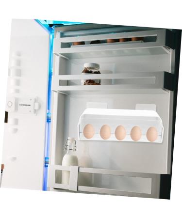 LABRIMP Box Egg Storage Box Egg Holder for Fridge Egg Holder for Refrigerator Door Fridge Egg Case Side Door - Buy Online on GoSupps.com