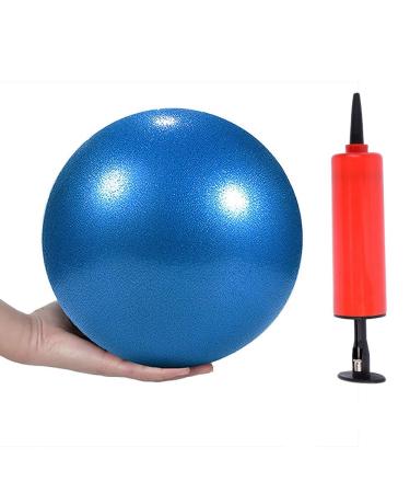 Mini Yoga Pilates Ball 10 Inch for Stability Exercise Training Gym Anti Burst and Slip Resistant Balls with Inflatable Straw Blue