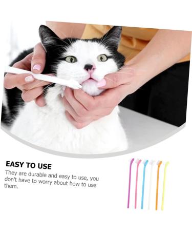 FOMIYES 6pcs Dog Toothbrushes Dog Oral Cleaning Toothbrush Dog Supply Pet Supplies Puppy Toothpaste The Cat - Buy Online on GoSupps.com