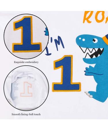 AMZTM Dinosaur Birthday T Shirt for Baby Boys - Party Supplies & Gift (80 White) - Buy Online on GoSupps.com