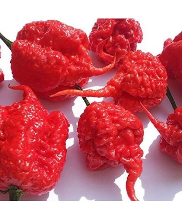 Carolina Reaper Chilli Mash 1kg (Highly Concentrated) - Buy Online on GoSupps.com
