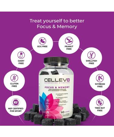 Cellev8 Focus & Memory Nootropic Gummies - Boost Cognitive Function Mental Clarity & Focus - Gluten Free Grape Flavor - 60 Count Made in USA - Buy Online on GoSupps.com