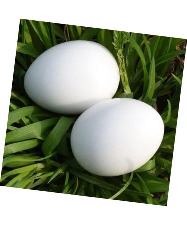 BCOATH 60 Pcs Water Injection Fake Pigeon Eggs White Fake Eggs Parrot Eggs Compact Eggs Breeding Props Craft Eggs for Painting Artificial Eggs Toy Eggs Supplies Meat Pigeon Plastic Whitex2pcs 2.9X4.1CMx2pcs - Buy Online on GoSupps.com