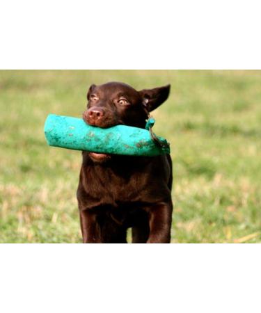 Romneys Standard Dummy 500g Green - Floatable & Unsinkable Dog Training Fetch Toy | International Shipping Available - Buy Online on GoSupps.com