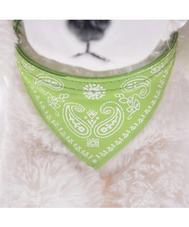 Cat Collar with Bandana in Paisley Look - Green Buckle - Size S (20-26cm Neck) | International Shipping Available - Buy Online on GoSupps.com