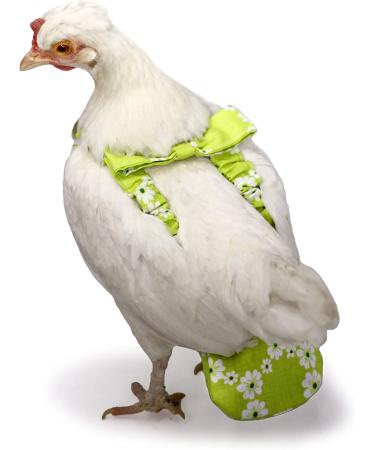 Washable Chicken Diapers for Hens & Roosters - Blue Dots XS - Pet Chicken Nappy - Buy Online on GoSupps.com