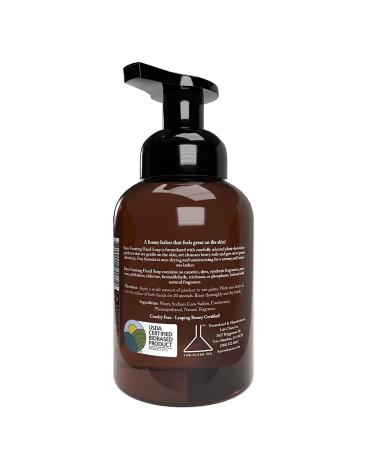 Plant-Derived Foaming Hand Soap 12oz - Eucalyptus Lavender 2 Pack | USDA Certified Biobased, Aromatic and Nourishing Hand Wash with Essential Oils - Buy Online on GoSupps.com