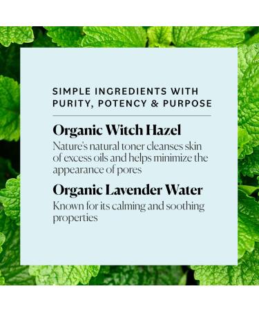 Sky Organics USDA Certified Organic Blemish Control Facial Toner - 6 fl. Oz - Buy Online on GoSupps.com