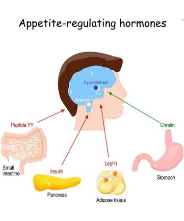 Pisamhid Moxibustion Gathering Energy Burning Columns - 10 Pieces for Detoxification & Weight Loss | Herbal Self-Adhesive Moxibustion - Buy Online on GoSupps.com
