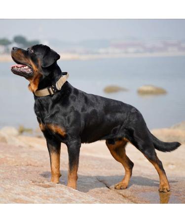 Tspro Premium Adjustable Dog Collar with Handle - Heavy Duty Quick Lock Metal Buckle for Small to Extra Large Dogs (Khaki Size M: 37-46cm) - Buy Online on GoSupps.com